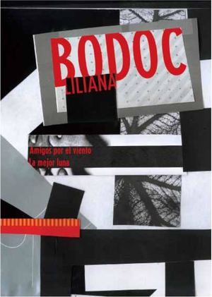 Amigos por el viento