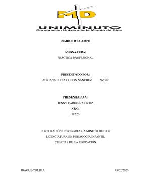 Diarios De Campo practica II universidad Minuto De Dios