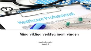 Angelina Ostergard Mina Verktyg Uppgift 8