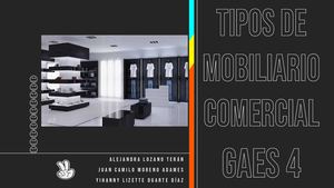 Tipos De Mobiliarios Comerciales.