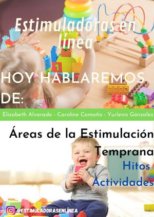 Áreas del Desarrollo