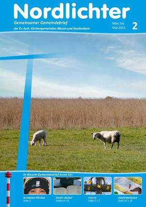 Nordlichter 2 - 2021