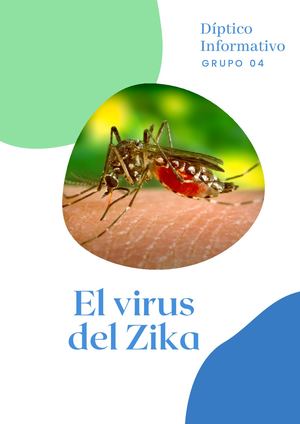 Díptico Virus Del Zika