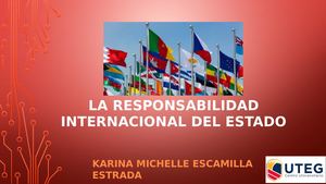 La Responsabilidad Internacional Del Estado