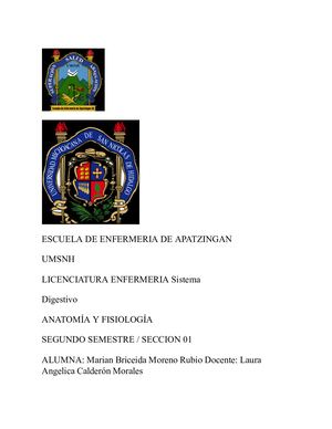 Escuela De Enfermeria De Apatzingan Umsnh Licenciatura Enfermeria (2) (2) (1)