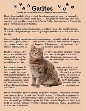Gatito Texto Ceñido