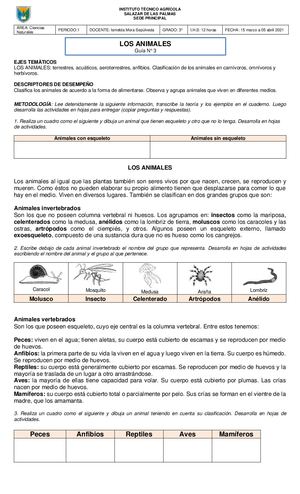 3 3º Los Animales