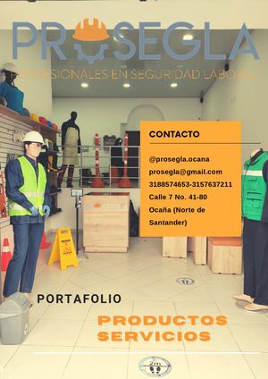 Portafolio De Productos Y Servicios Prosegla 2021