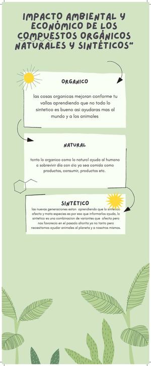 Verde Orgánico Natural Fotosíntesis Biología Infografía
