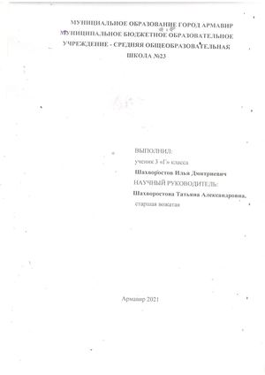 Шахворостов Илья.