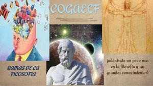 Ramas De La Filosofia Revista