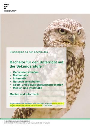 Plan Bsc Si Media In De 21 Sesfakultätsrat12april2021