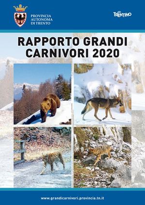Rapporto Grandi Carnivori 2020
