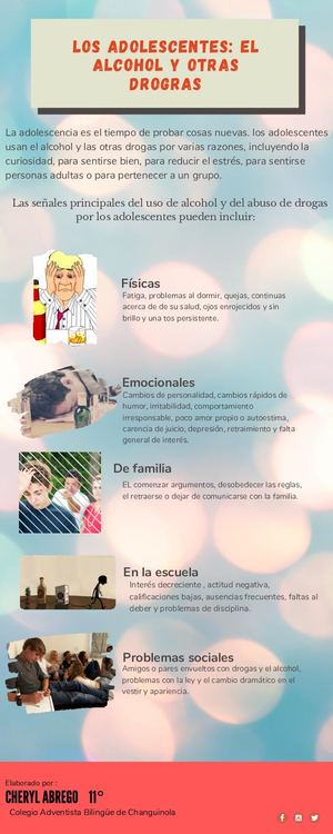 Transporte Infografía