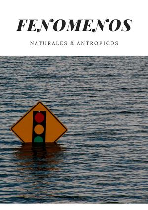 Desastres Tropicos & Antropicas