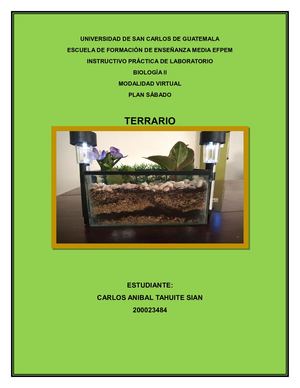 Instructivo Práctica De Laboratorio