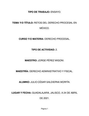 Esnsayo Retos Del Derecho Procesal En México Derecho Procesal