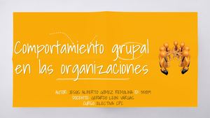 Comportamiento Del Grupo En La Organización 2