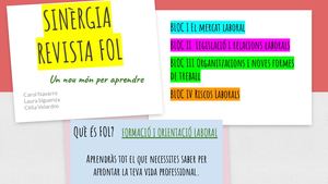 Grup 8 - Sinèrgia Revista FOL