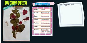 Publicación De Twitter 1024x512 Px