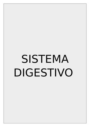 sistema digestivo