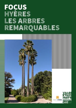 Focus Hyères : Les Arbres remarquables