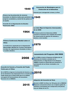 Linea De Tiempo Sobre El Medio Ambiente