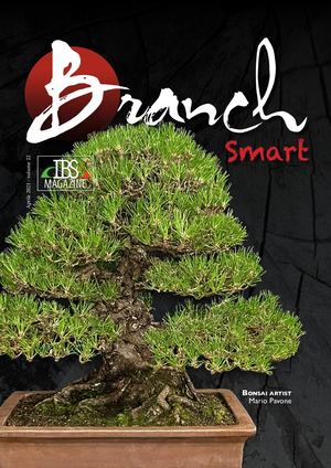Branch Aprile 2021  vers.Smart
