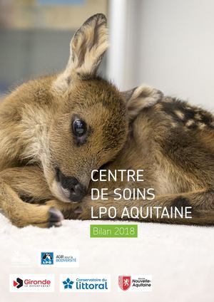 Bilan Centre de soins 2018