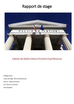Rapport De Stage 3ème Capucine Catusse