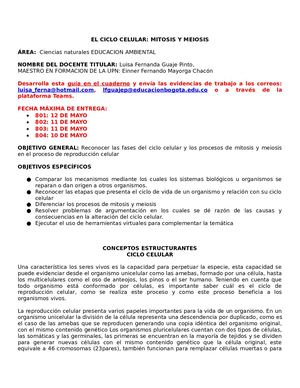 Guia Mitosis Y Meiosis #1