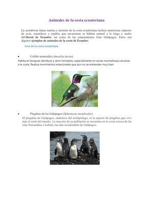 Animales De La Costa Ecuatoriana