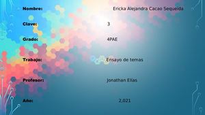 Ensayo De Temas Visto En Clase C