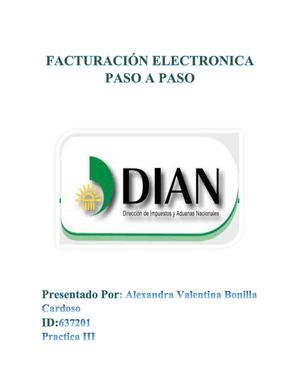 Paso A Paso Facturación Electronica Dian