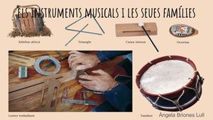 Els Instruments I Les Seues Famílies