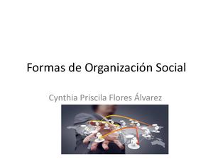 Formas De Organización Social