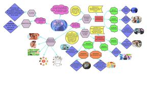 Mapa Mental De La Memoria