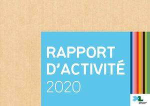 Rapport d'activité 2020