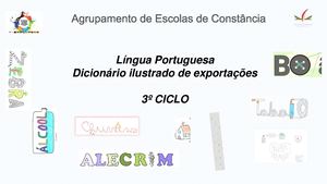 Português Dicionário Ilustrado De Exportação Mesclado