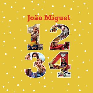 Joao Miguel Aniversários 20x20 - 25 laminas