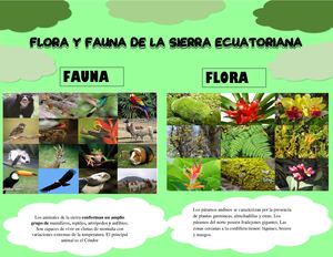 Flora Y Fauna De La Sierra Ecuatoriana