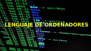 Lenguaje Informatico