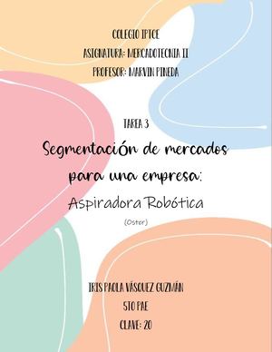 Tarea 3 Segmentación De Mercados Para Una Empresa Iris Vásquez