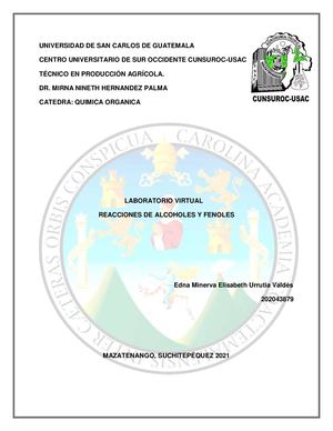 Laboratorio No 9 Alcoholes Y Fenoles