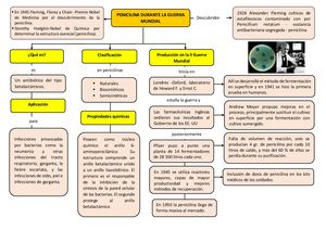 Mapa Conceptual Penicilina