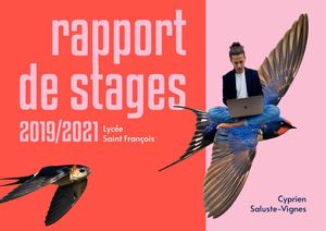 Rapport de Stages CVPM Cyprien