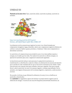 Función De Nutrición