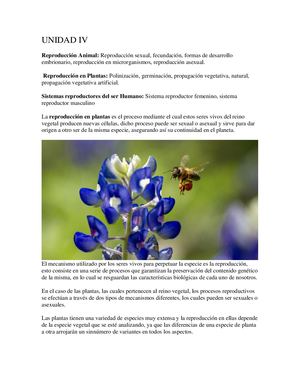 REPRODUCCI´N EN LOS SERES VIVOS