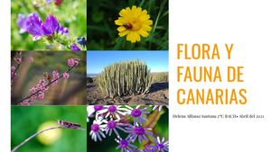 Proyecto Fotografico Final Flora Y Fauna De Canarias Helena Alfonso Santana 2ºc Bach (1)