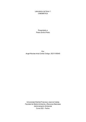 Informe Laboratorio Cinematica Riel De Aire